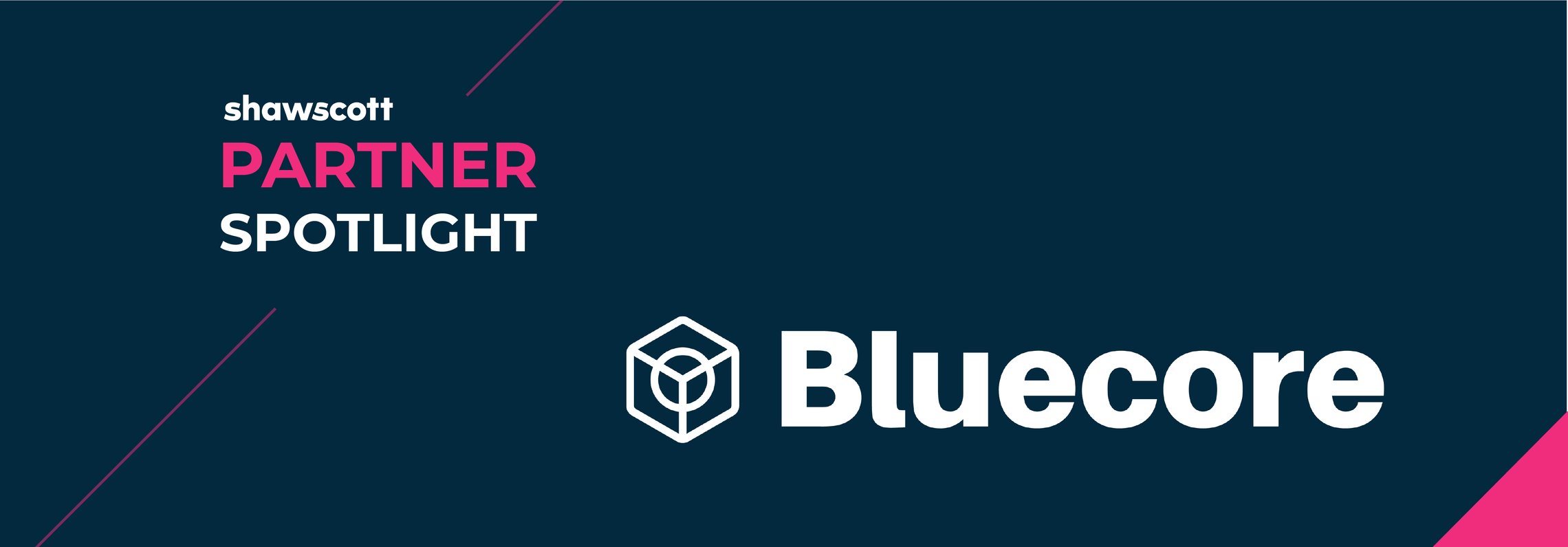 Partner Spotlight - Bluecore